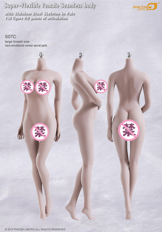 PHICEN TBleague Super Flexible Female Seamless body with stinless stell skeleton in pale 1/6 figure S01A S04B S07C S10D